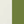 Ecru-Groen - 328386